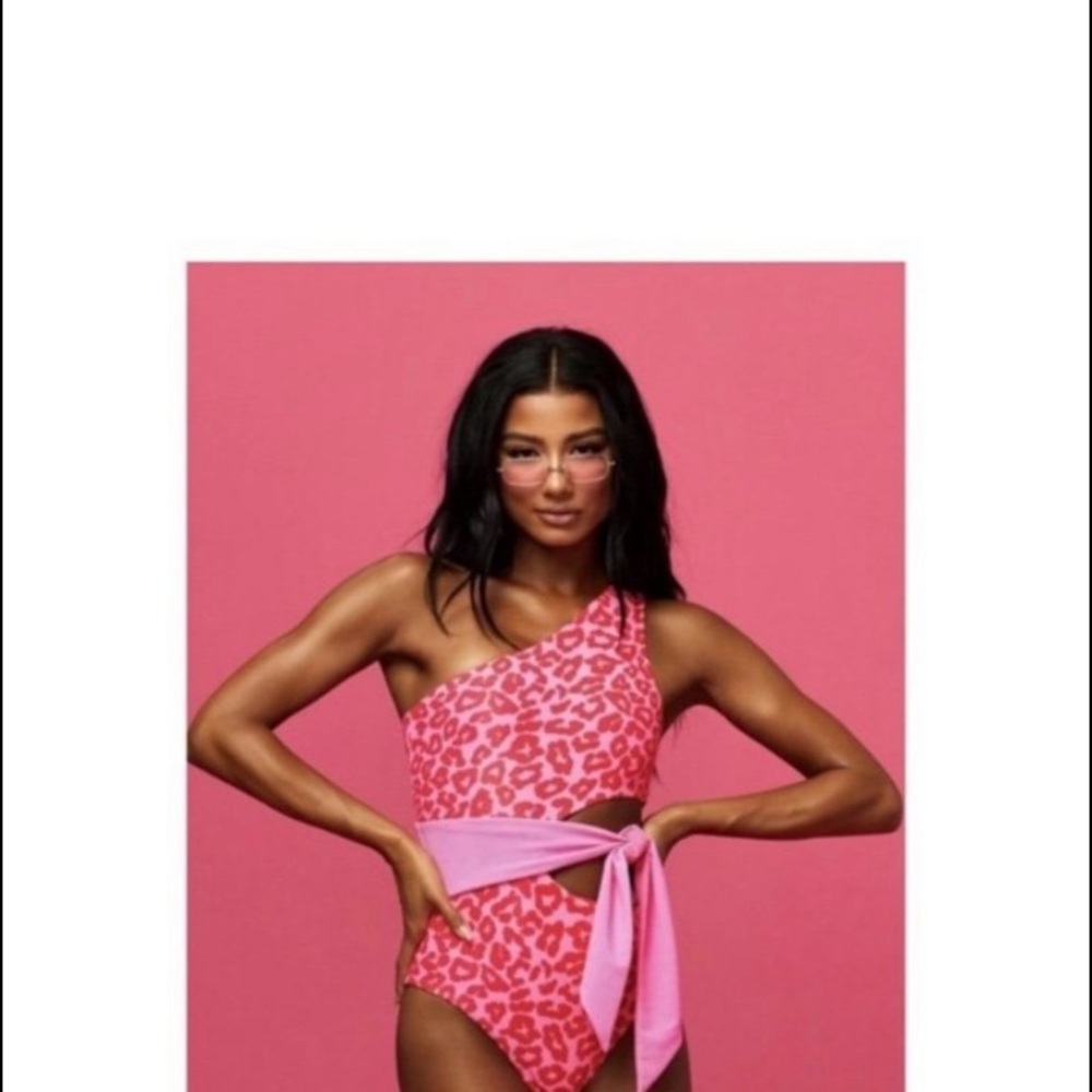 Beach Riot Pink Leopard One-Piece Swimsuit